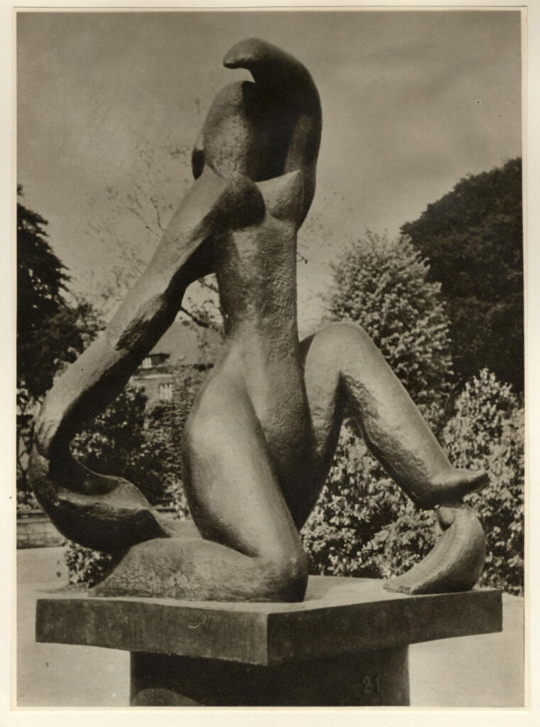 fronte