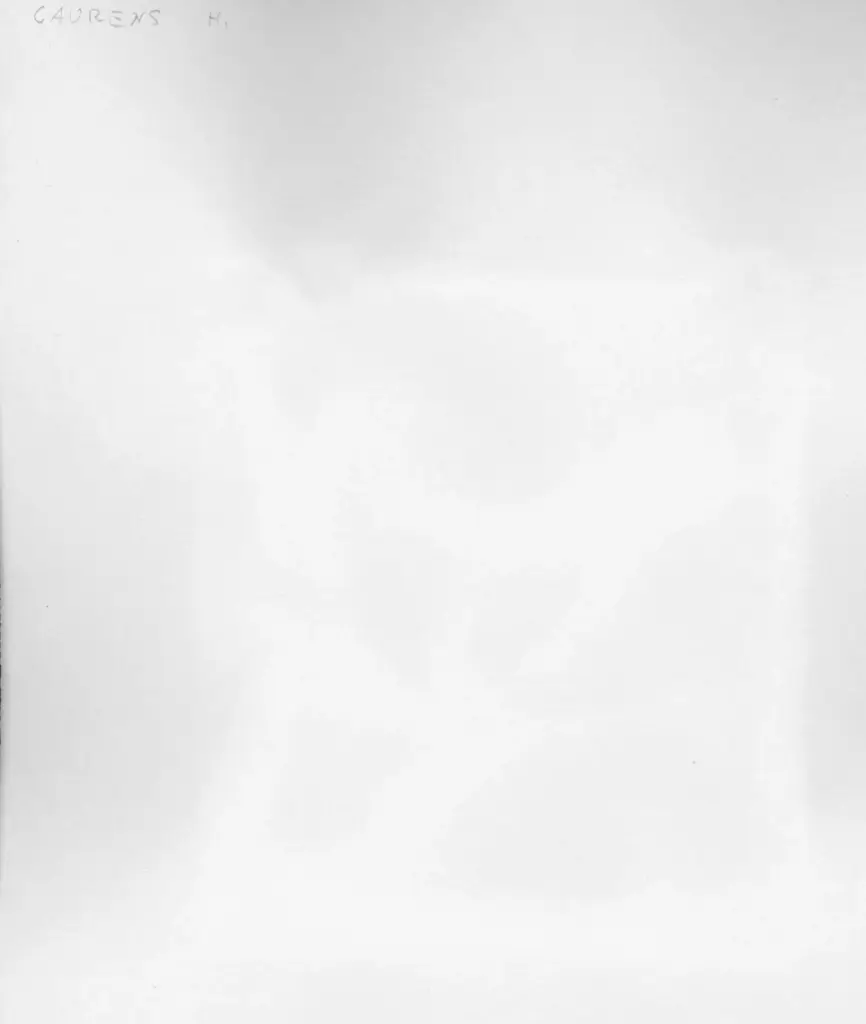 Laurens, Henri , retro