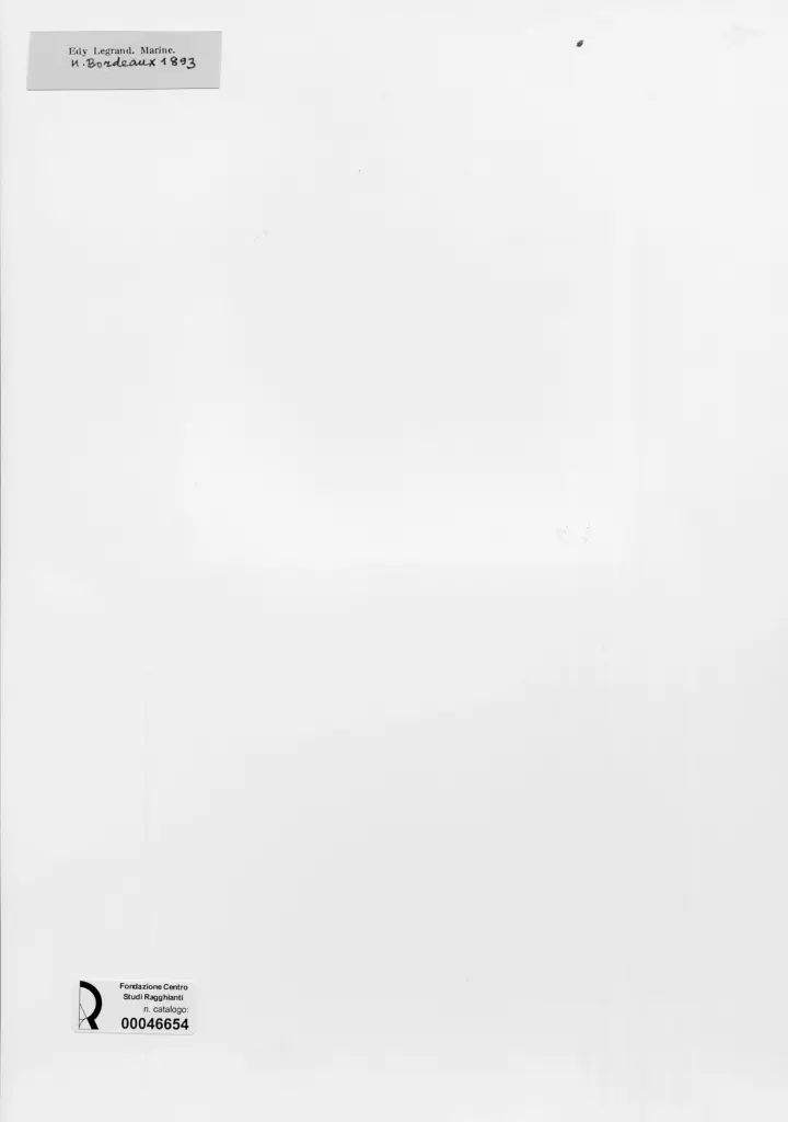 Anonimo, Anonimo , retro