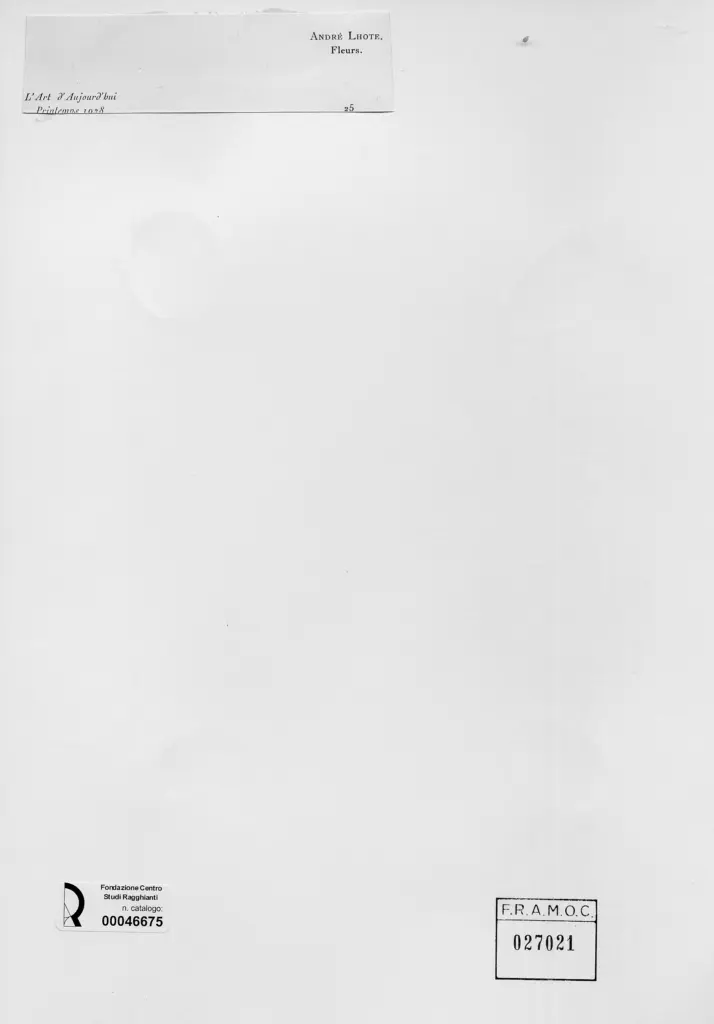 Anonimo, Anonimo , retro