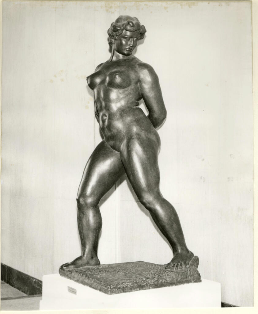 Anonimo , fronte