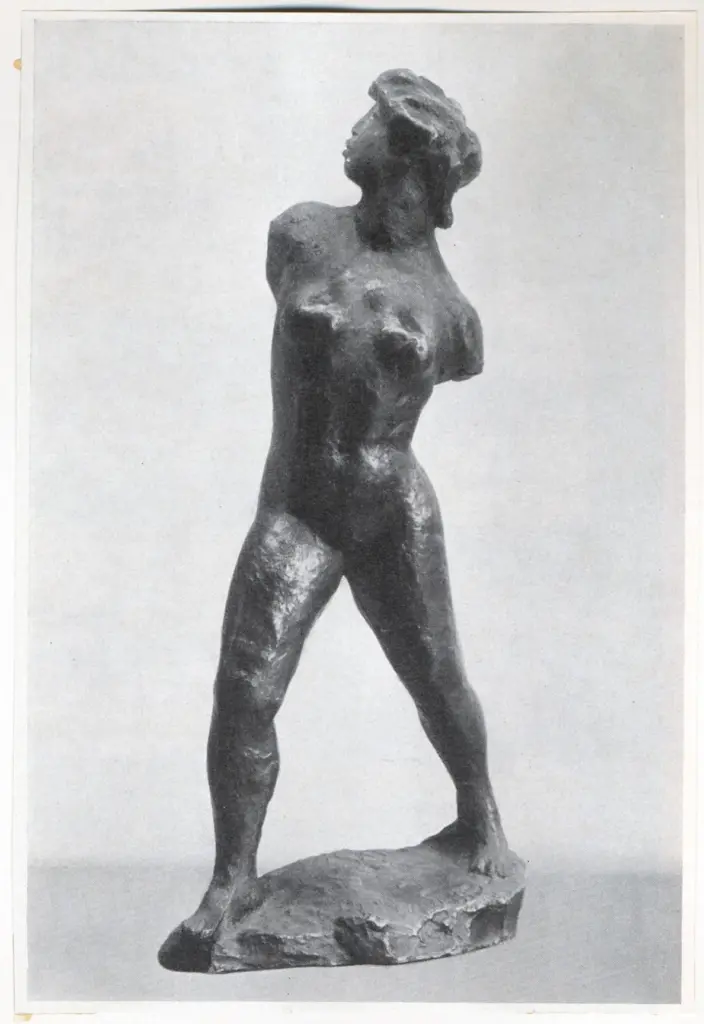 Anonimo, Anonimo , fronte