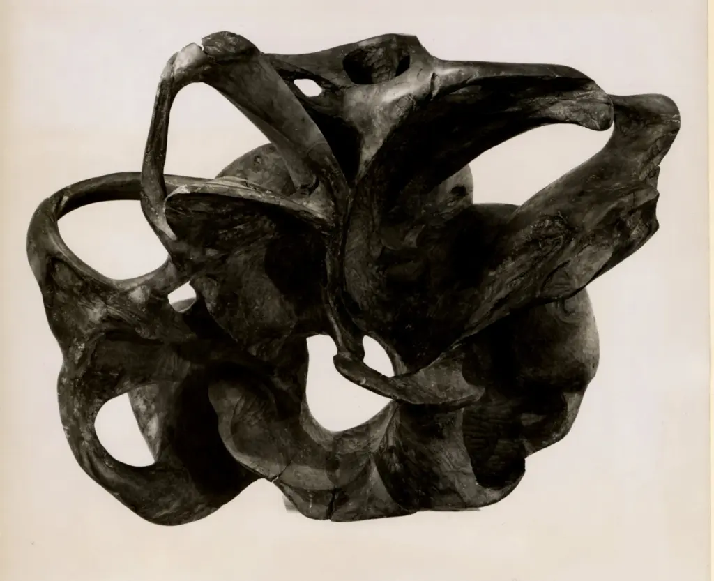 Anonimo , Martinet, Etienne - sec. XX - Anemone , fronte