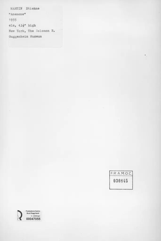 Anonimo , Martinet, Etienne - sec. XX - Anemone , retro