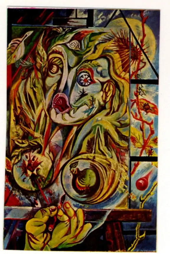 Anonimo, Anonimo , fronte