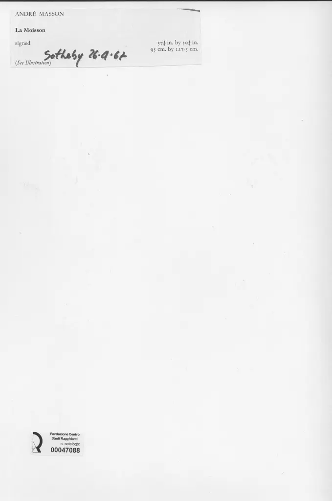 Anonimo, Anonimo , retro