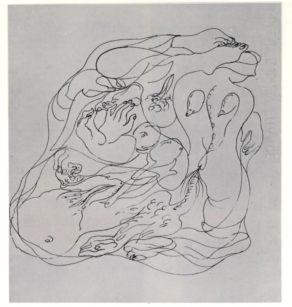 Anonimo, Anonimo , fronte