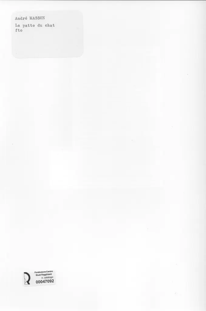 Anonimo, Anonimo , retro