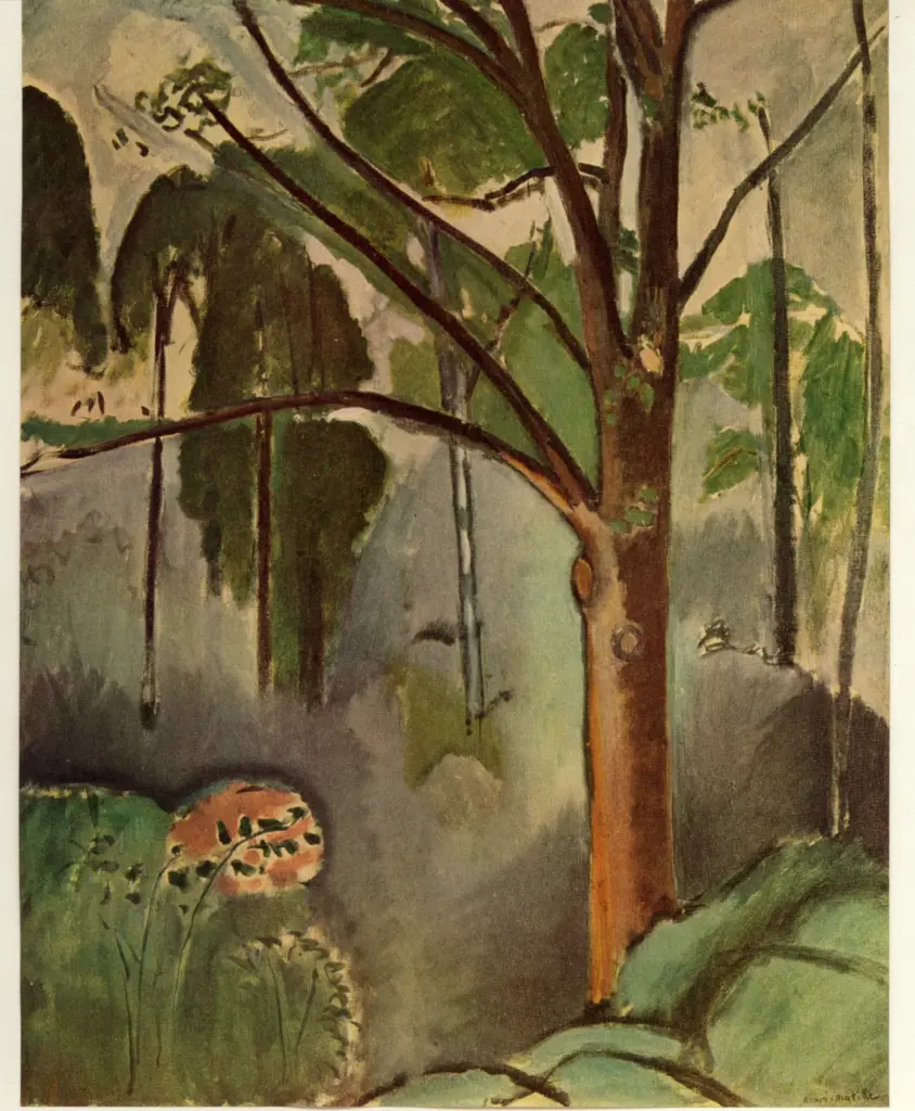 Anonimo , Matisse, Henri - sec. XX - Albero presso lo stagno di Trivaux , fronte