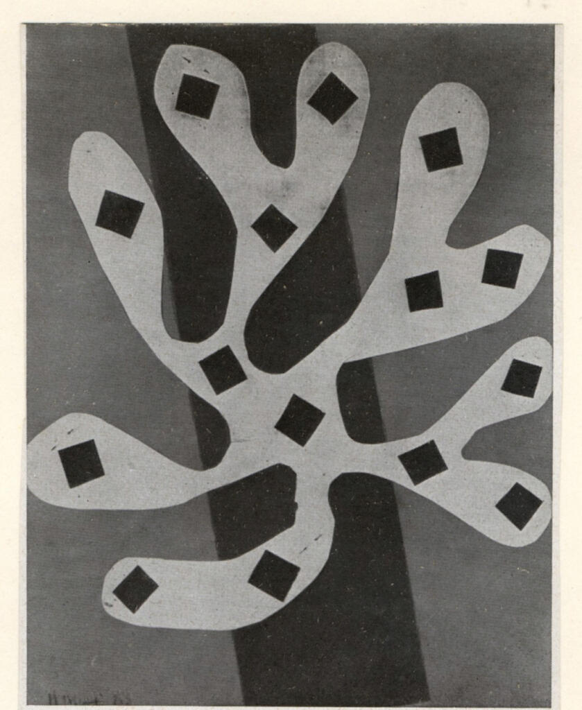 Anonimo , Matisse, Henri - sec. XIX/ XX - Algue blanche sur fond orange et rouge , fronte