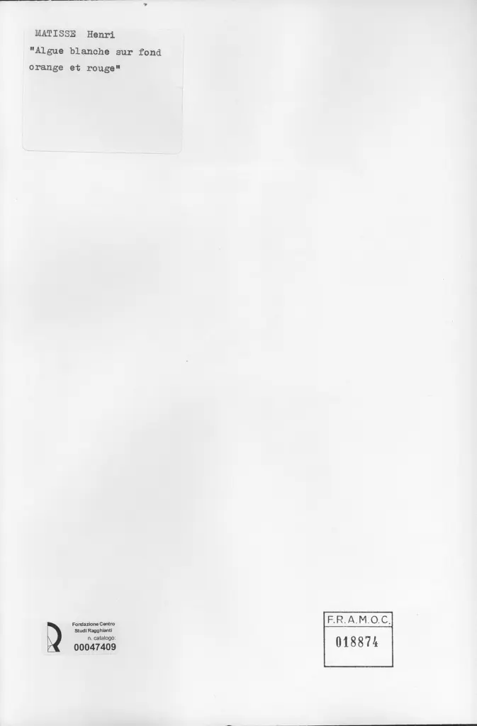 Anonimo , Matisse, Henri - sec. XIX/ XX - Algue blanche sur fond orange et rouge , retro
