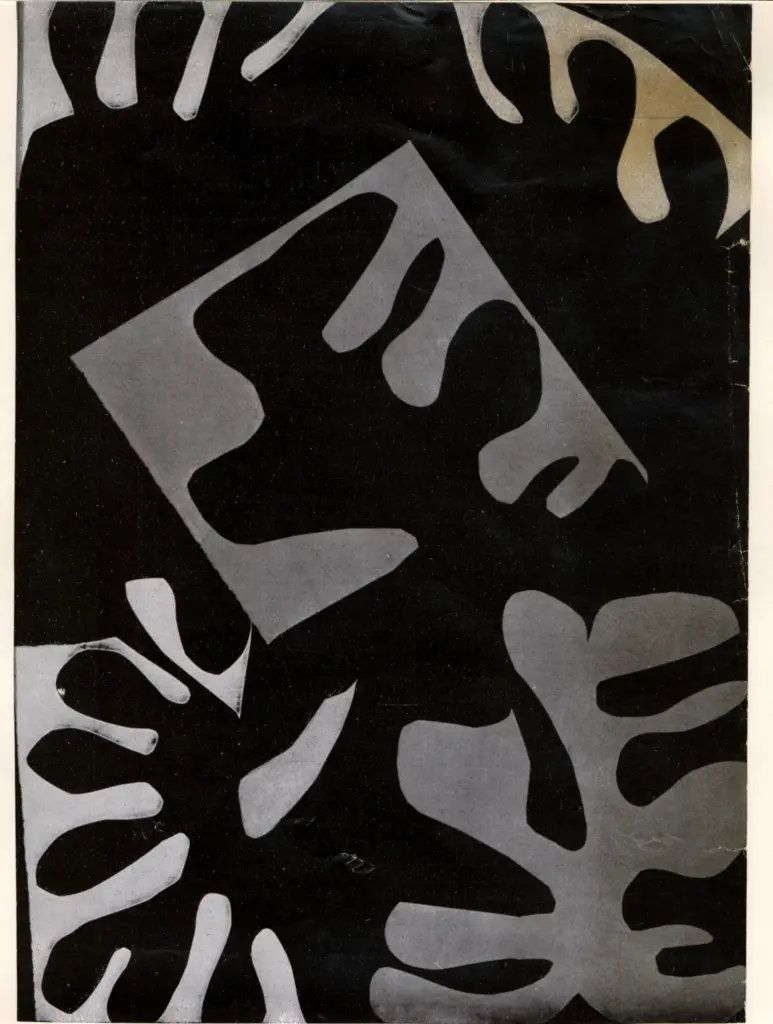 Anonimo, Anonimo , fronte