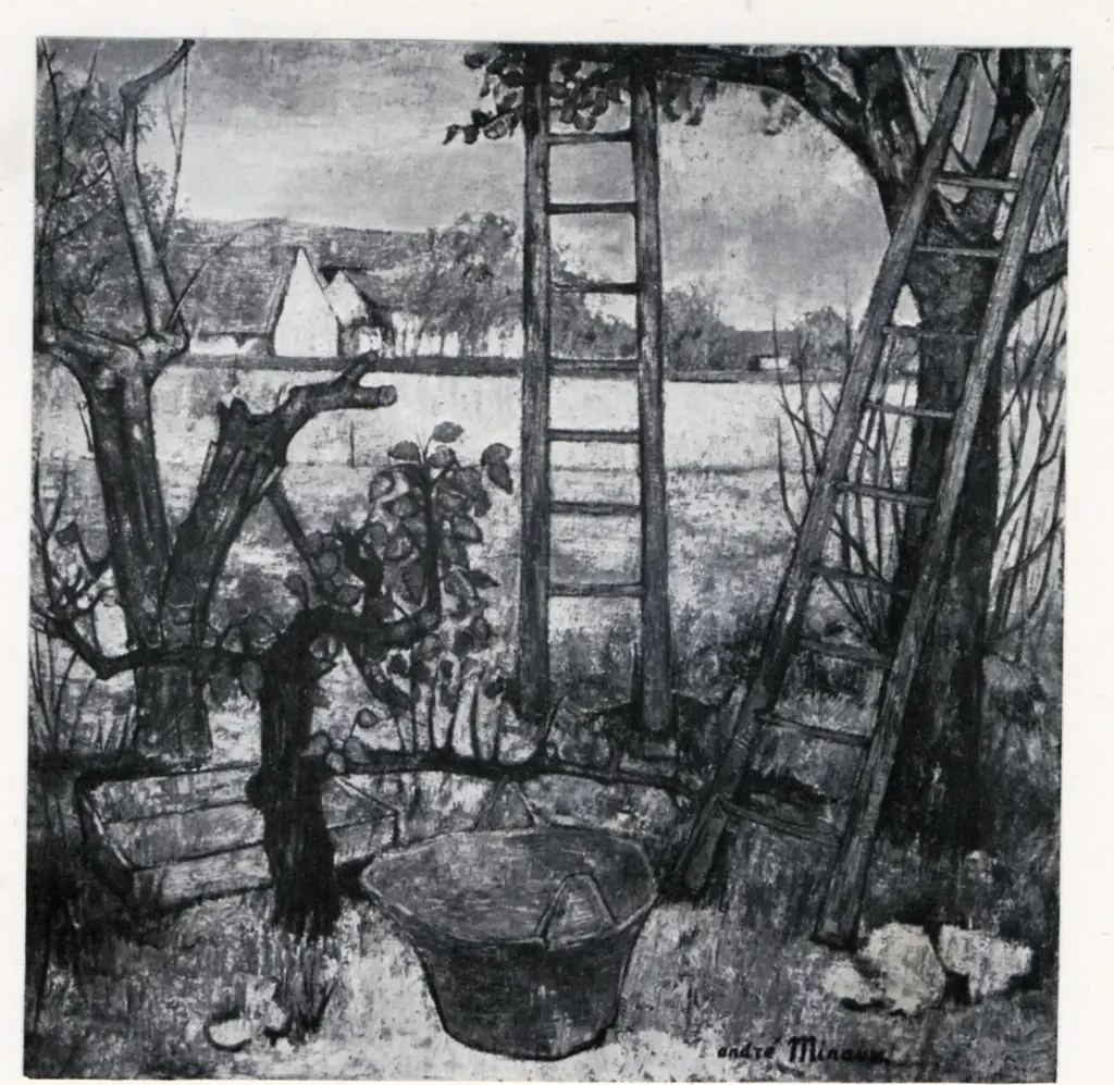 Anonimo, Anonimo , fronte