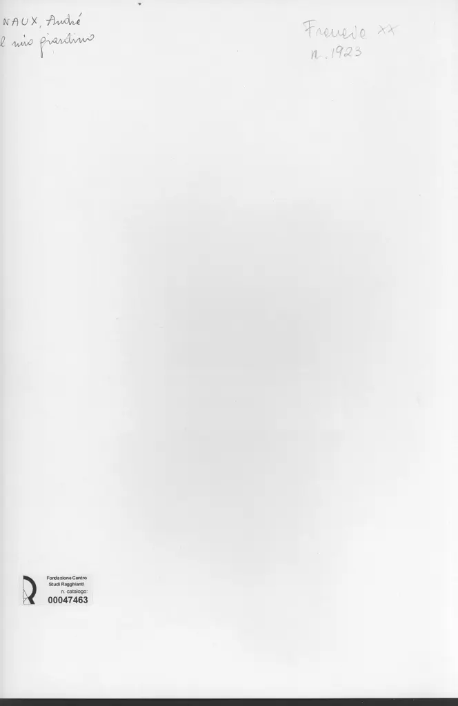 Anonimo, Anonimo , retro