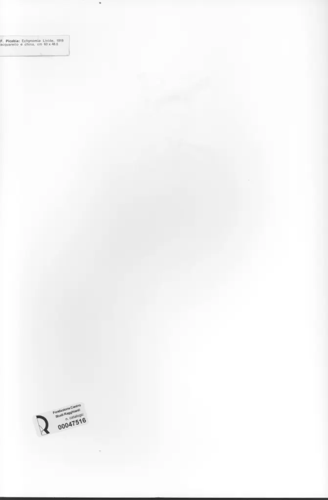 Anonimo , Picabia, Francis sec. XX , retro