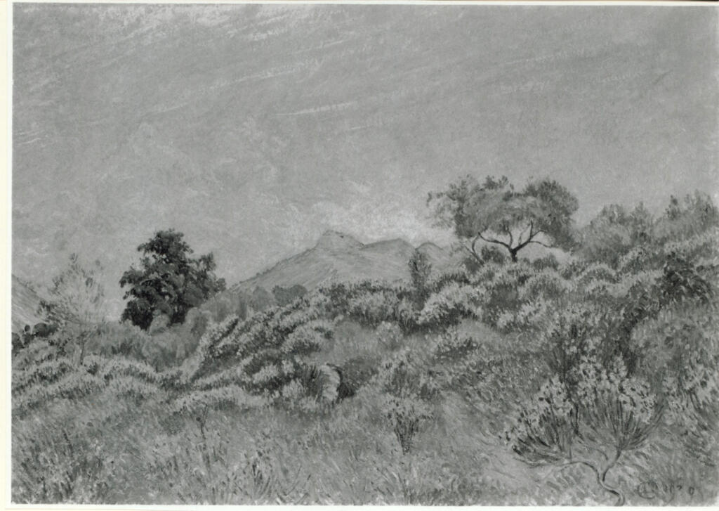 Anonimo , Pissarro, Lucien; sec. XX; , fronte