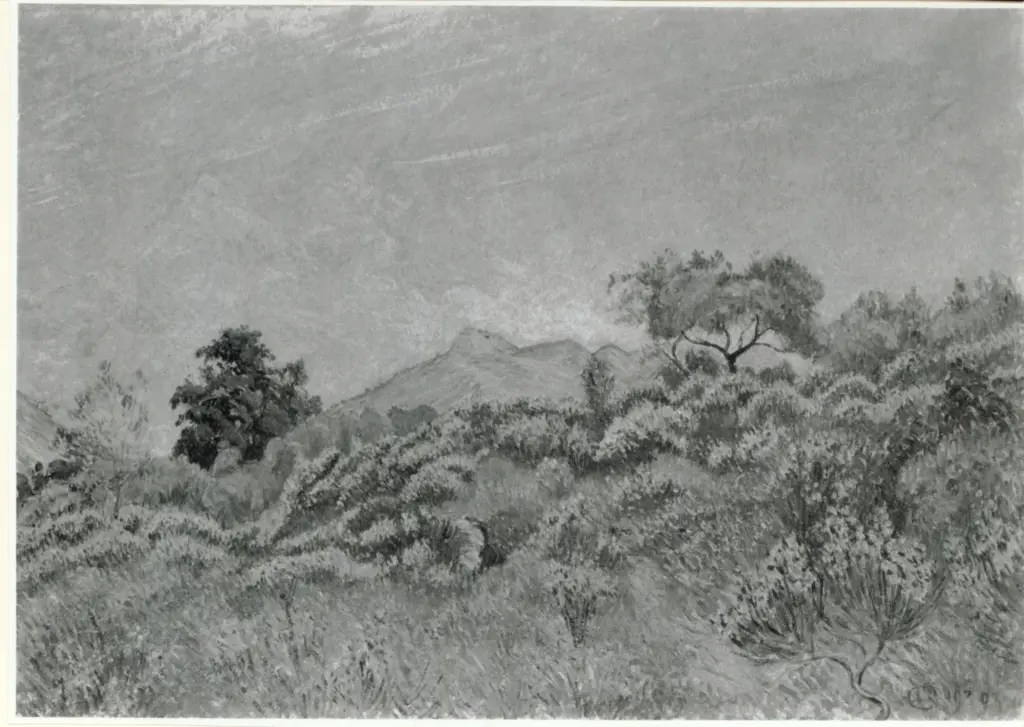 Pissarro, Lucien , Genets en fleur, Dardennes