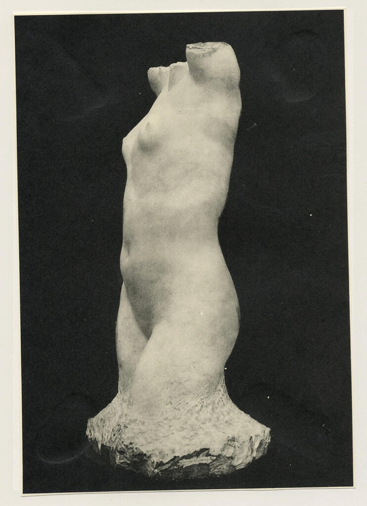 fronte