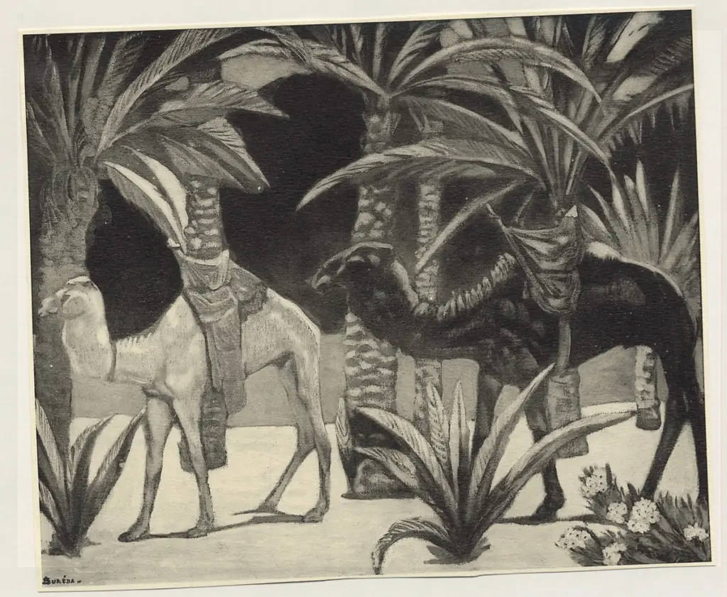 Sureda, Andr&eacute; , Camelli dentro all'Oasi