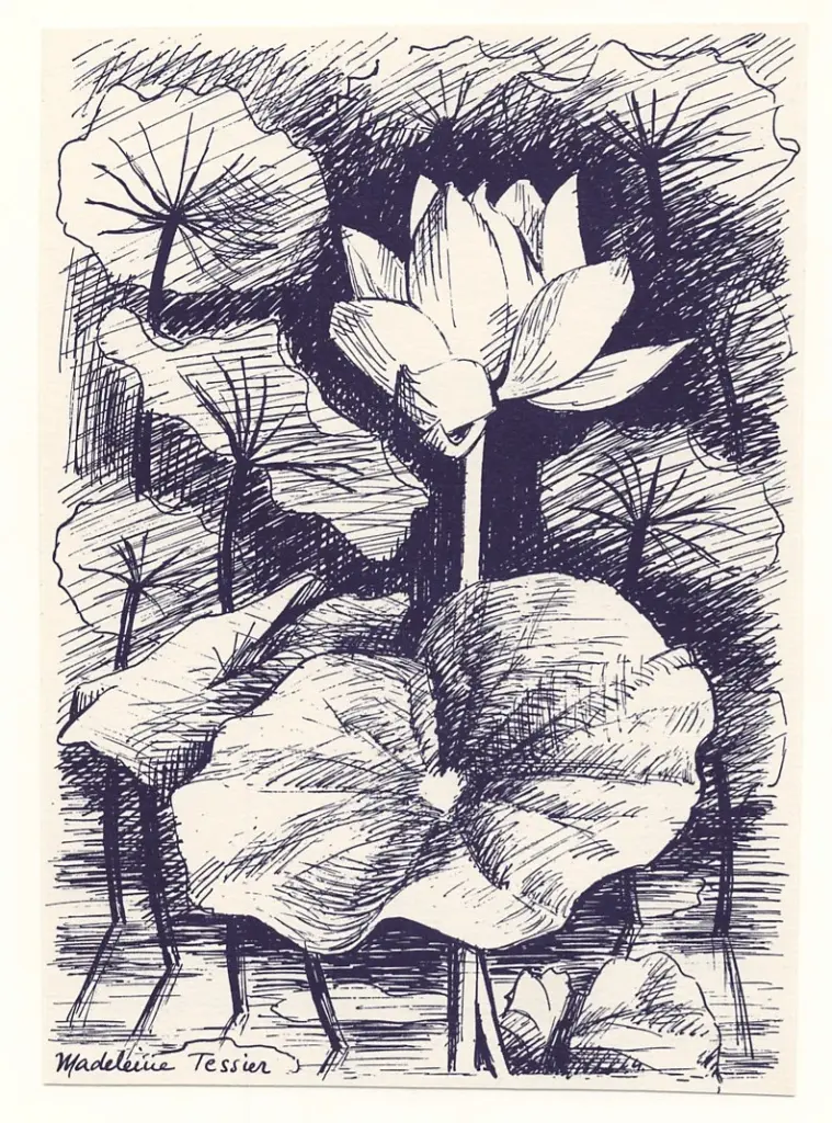 Anonimo , Tessier, Madeleine - sec. XX - Fiori , fronte