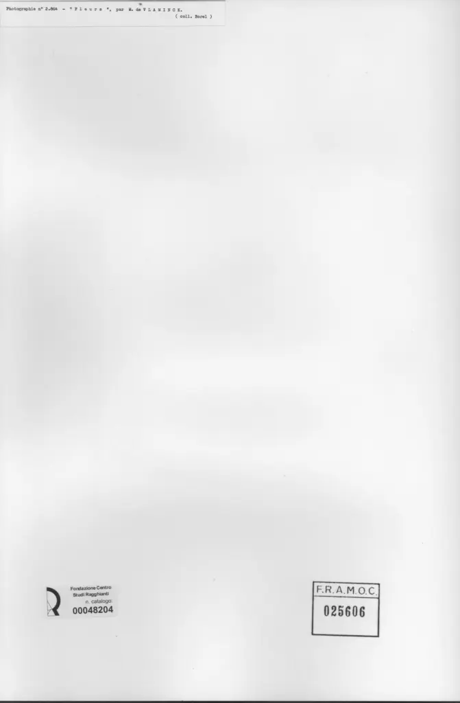 Anonimo, Anonimo , retro