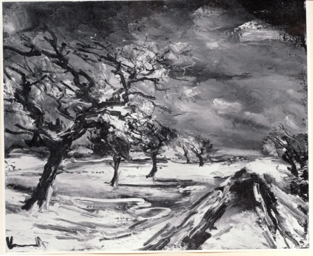 Anonimo, Anonimo , fronte