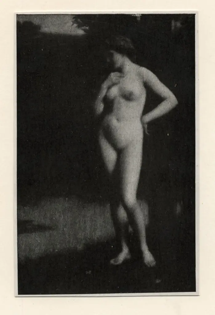 Anonimo, Anonimo , fronte