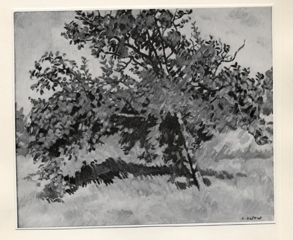 Anonimo ; Anonimo , s.v.