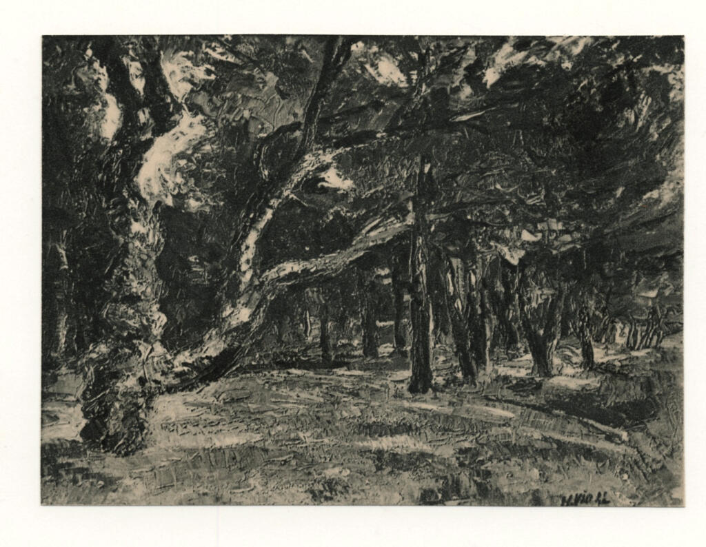 Samand, J. , fronte