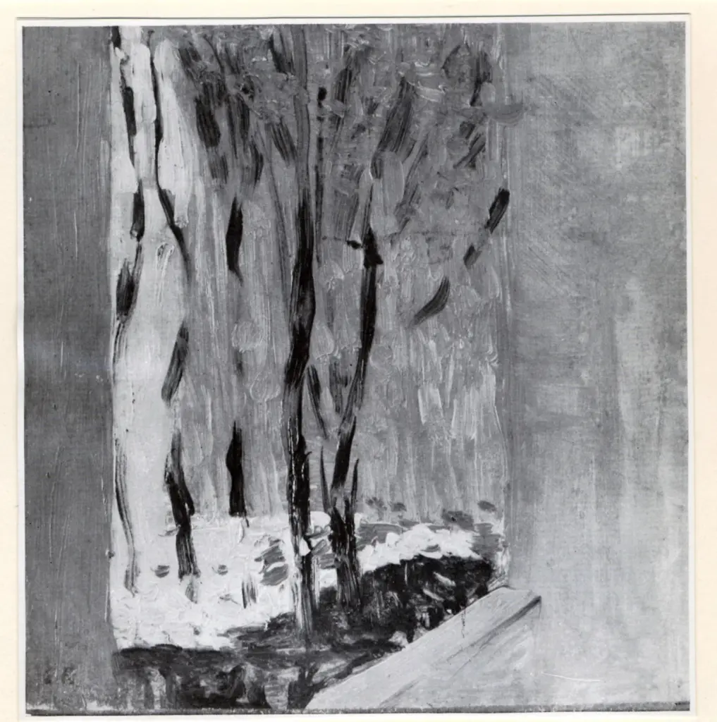 Anonimo, Anonimo , fronte