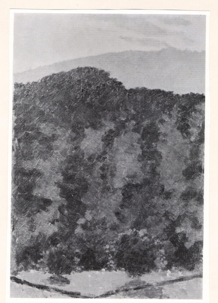 Anonimo , fronte