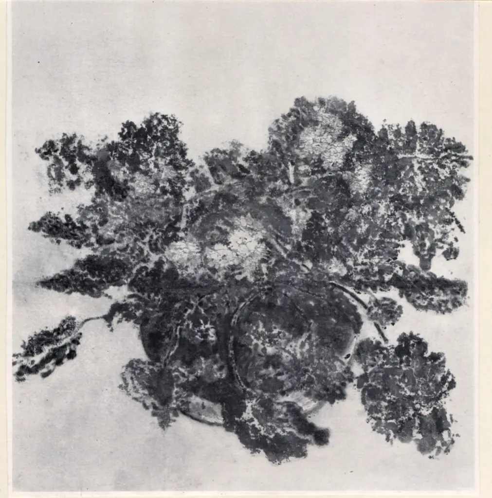 Anonimo, Anonimo , fronte