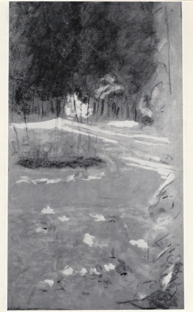 Anonimo, Anonimo , fronte