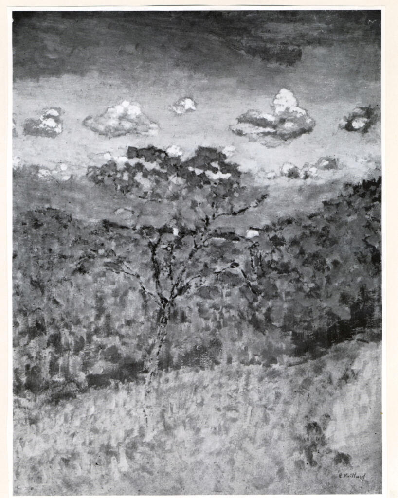 Anonimo , Vuillard, Edouard , fronte