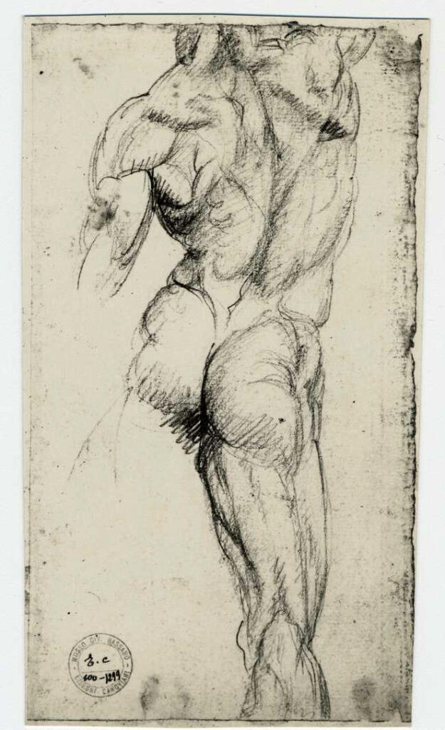 Canova, Antonio , Studio di nudo maschile