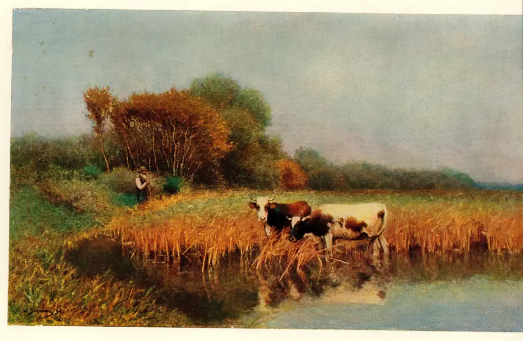 Anonimo , Bergmann, Julius - sec. XIX - Kuhe im Schilf , fronte