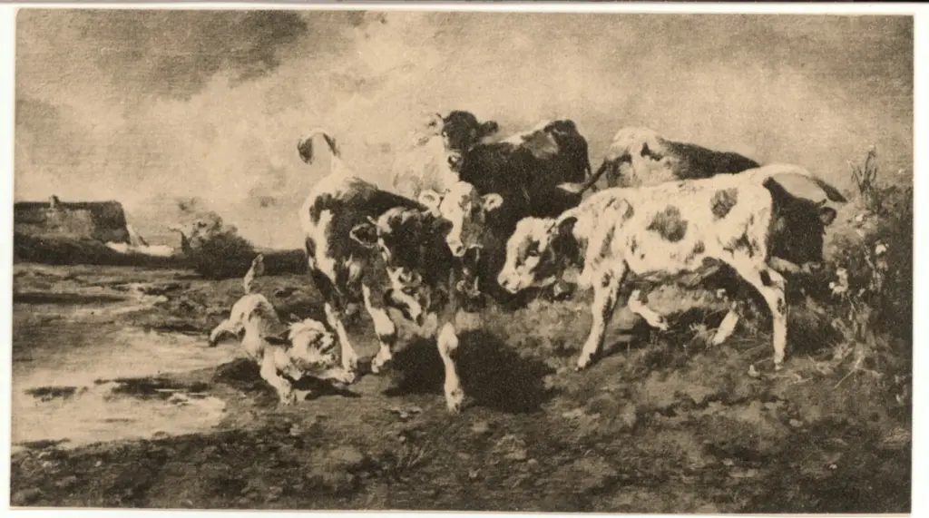 Anonimo , Braith, Anton - sec. XIX - Jungvieh , fronte