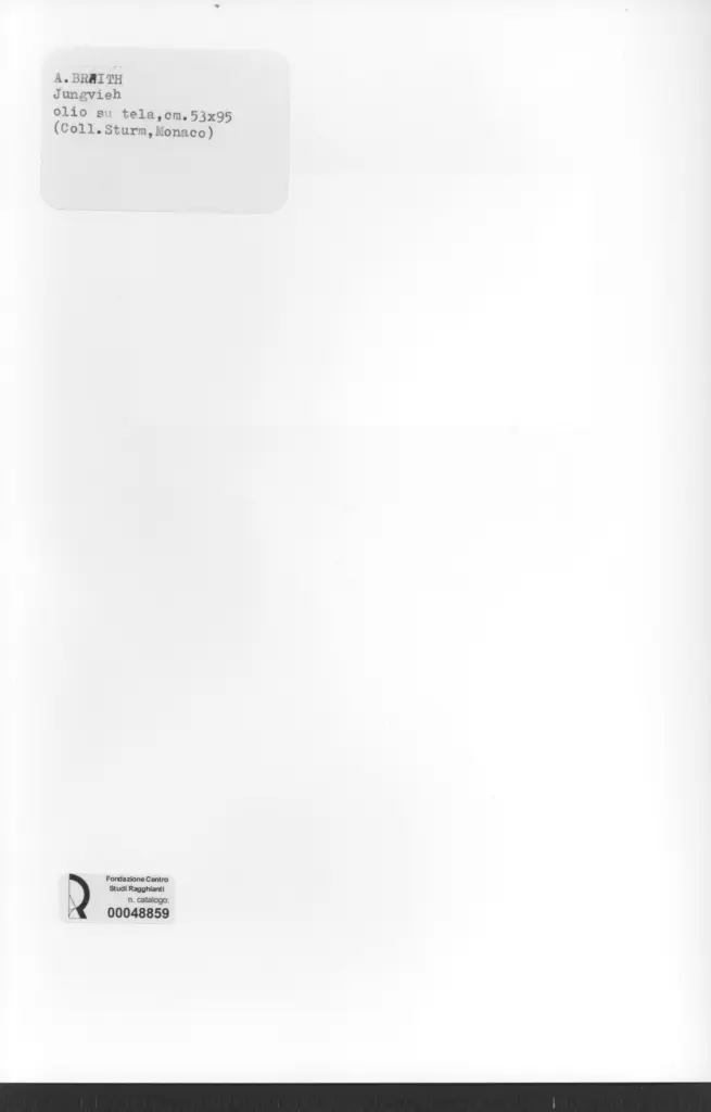 Anonimo , Braith, Anton - sec. XIX - Jungvieh , retro