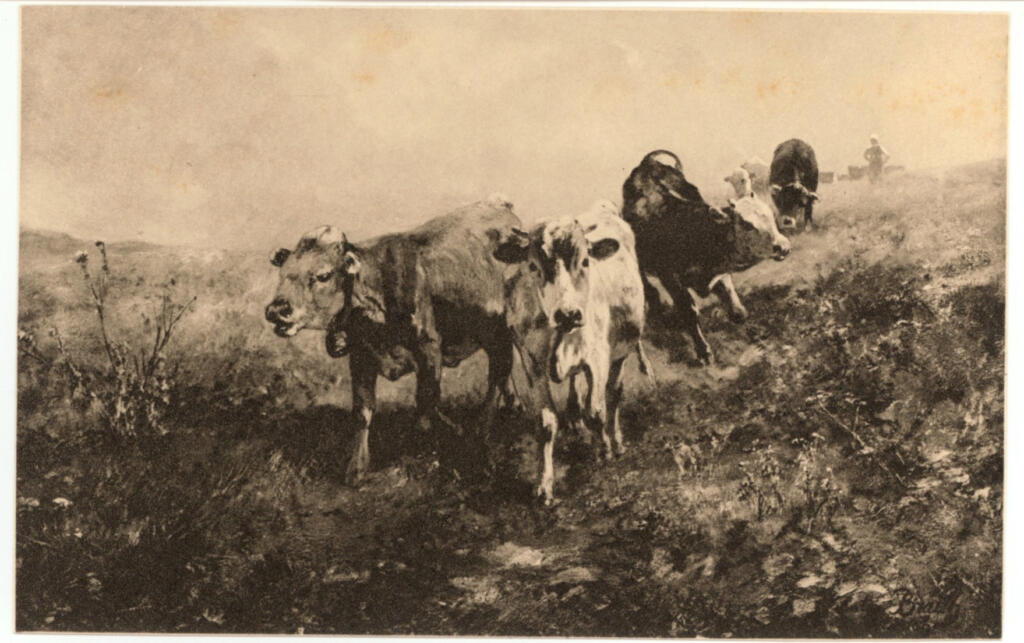 Anonimo , Braith, Anton - sec. XIX - Le mucche , fronte