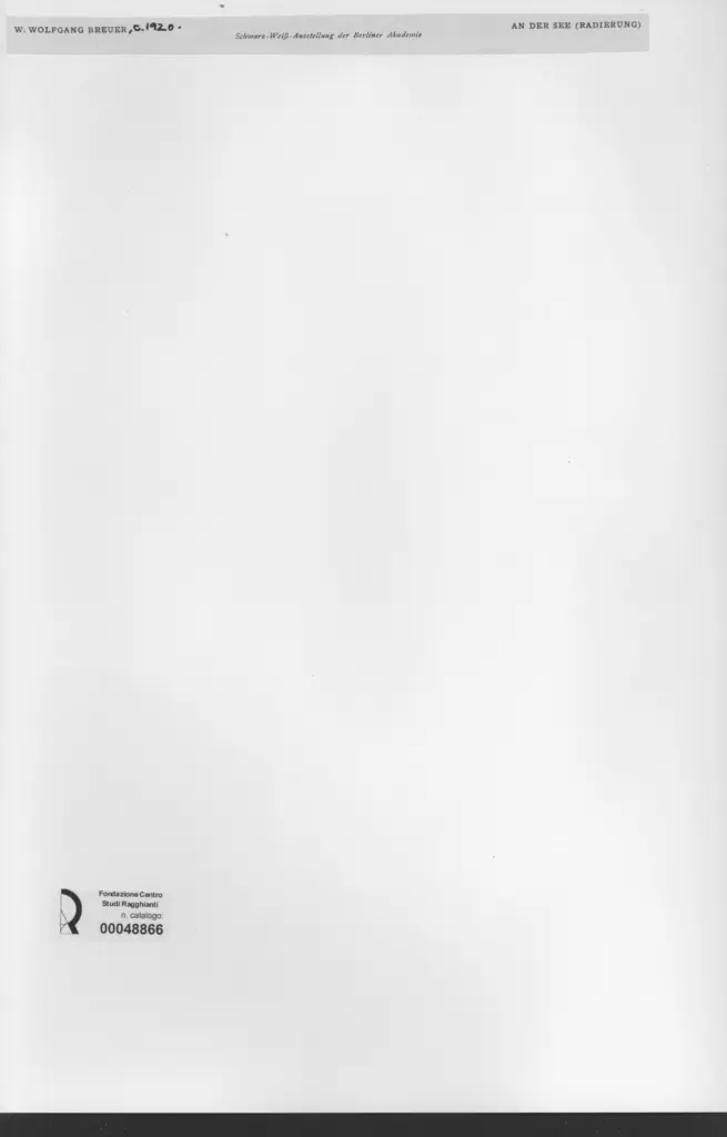 Anonimo, Anonimo , retro