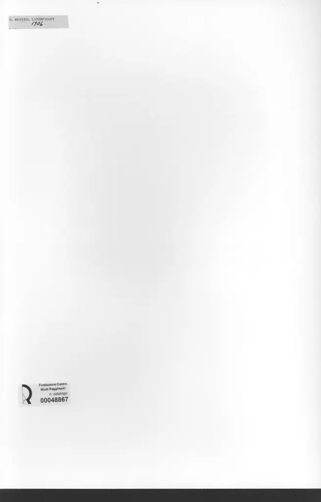 Anonimo, Anonimo , retro