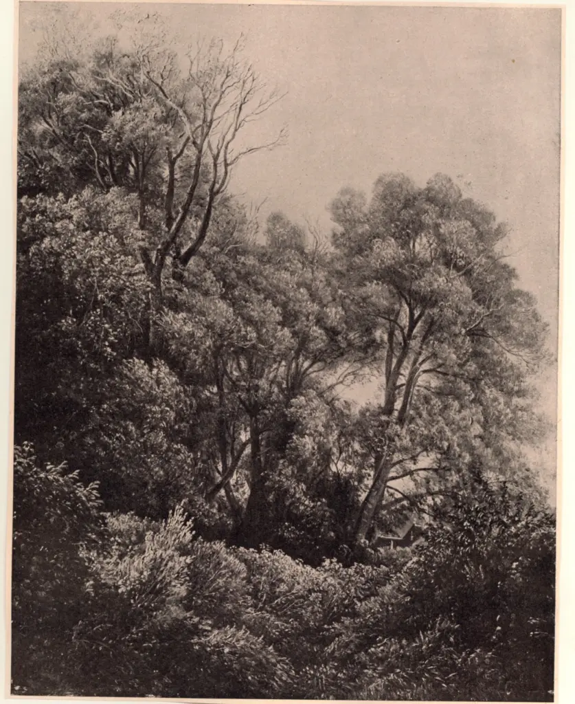 Anonimo , Carus, Carl Gustav - sec. XIX - Auf der pillnitzer elbeinsel , fronte