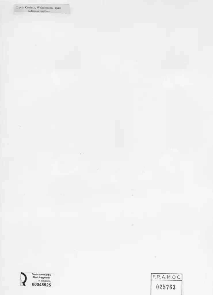 Anonimo, Anonimo , retro