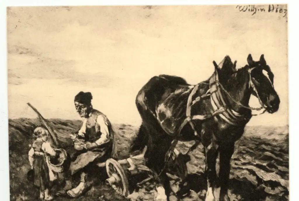 Anonimo, Anonimo , fronte