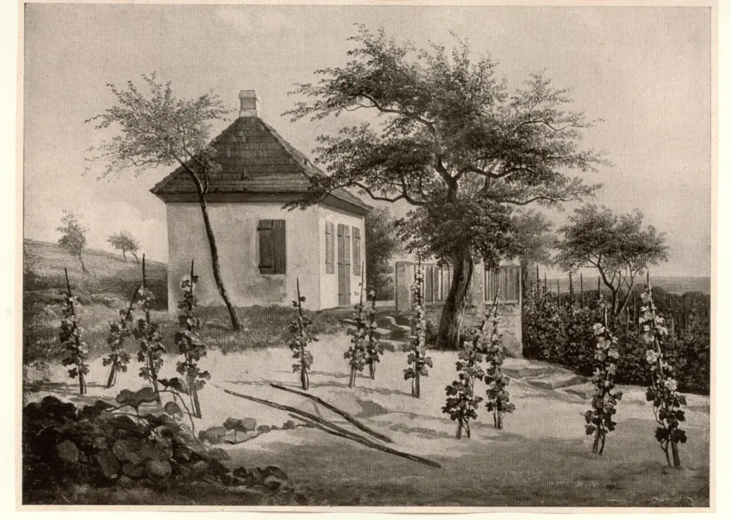 Anonimo , Engerth, Eduard von - sec. XIX - Korners weinberg bei loschhwitz , fronte