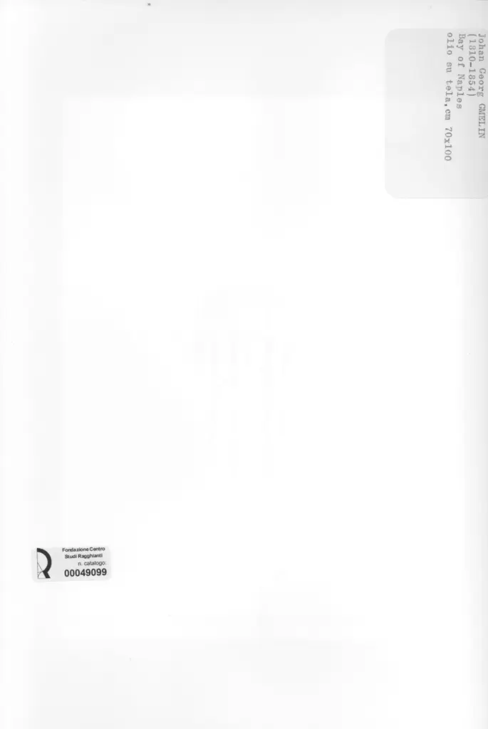 Anonimo , Gmelin, Johann Georg , retro