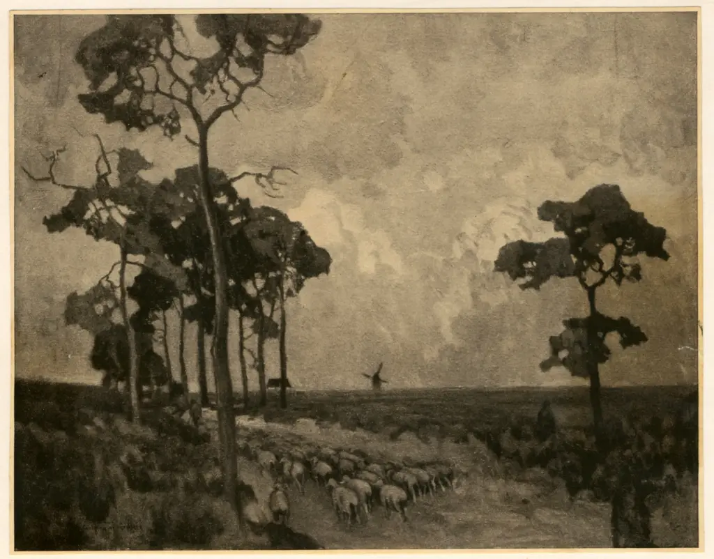 Anonimo , Kayser - Eichbergg, Carl , fronte