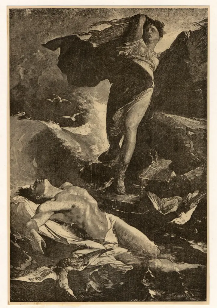 Anonimo, Anonimo , fronte