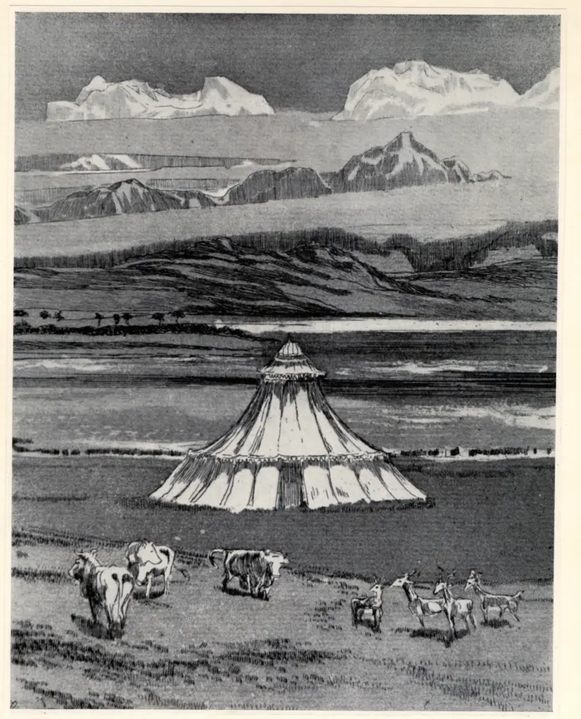 Anonimo, Anonimo , fronte