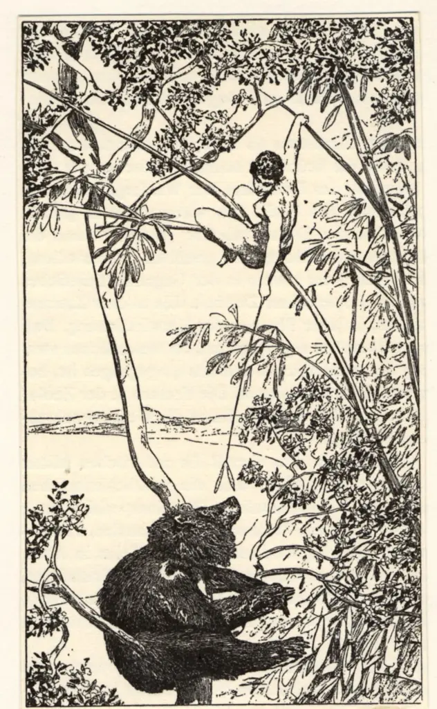 Anonimo, Anonimo , fronte